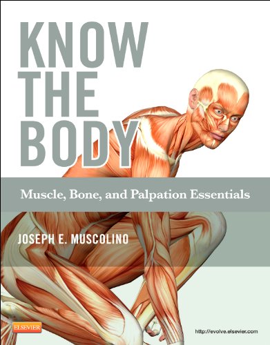 Know the Body: Muscle, Bone, and Palpation Essentials: 1ed