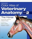 Color Atlas of Veterinary Anatomy, VOL 2, The Horse: 2ed