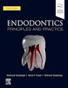 Endodontics: Principles and Practice 6ed