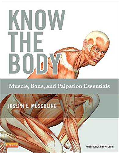 [B9780323086943] Know the Body: Muscle, Bone, and Palpation Essentials - Text and Workbook Package: 1ed