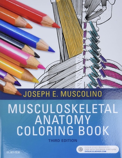 [B9780323477314] Musculoskeletal Anatomy Coloring Book: 3ed